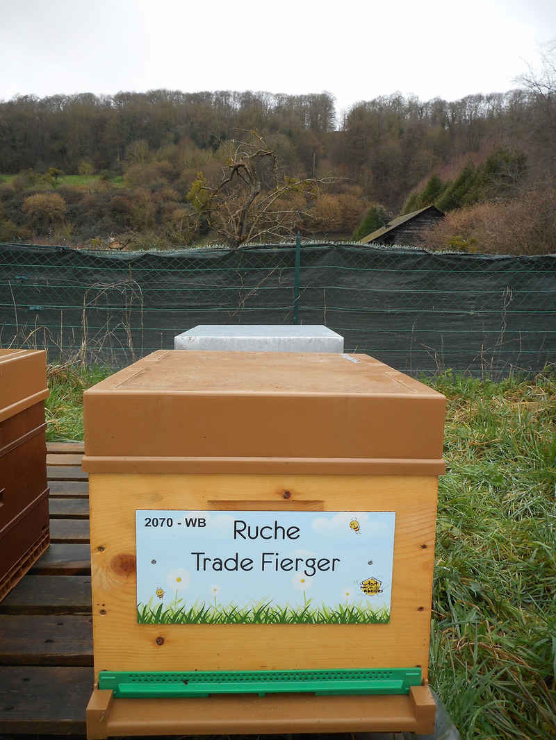 La ruche Trade Fierger